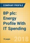 BP plc: Energy Profile With IT Spending - Detailed positioning insight for BP to better understand your target - Product Thumbnail Image