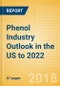 Phenol Industry Outlook in the US to 2022 - Market Size, Company Share, Price Trends, Capacity Forecasts of All Active and Planned Plants - Product Thumbnail Image