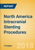 North America Intracranial Stenting Procedures Outlook to 2025- Product Image