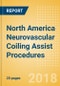 North America Neurovascular Coiling Assist Procedures Outlook to 2025 - Product Image