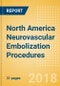 North America Neurovascular Embolization Procedures Outlook to 2025 - Product Image