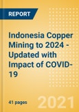 Indonesia Copper Mining to 2024 - Updated with Impact of COVID-19- Product Image