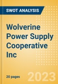 Wolverine Power Supply Cooperative Inc - Strategic SWOT Analysis Review- Product Image