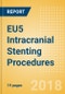 EU5 Intracranial Stenting Procedures Outlook to 2025 - Product Thumbnail Image
