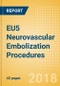 EU5 Neurovascular Embolization Procedures Outlook to 2025 - Product Thumbnail Image