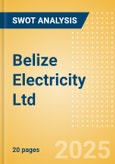 Belize Electricity Ltd - Strategic SWOT Analysis Review- Product Image