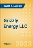 Grizzly Energy LLC (GRZZU) - Financial and Strategic SWOT Analysis Review- Product Image