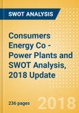 Consumers Energy Co - Power Plants and SWOT Analysis, 2018 Update- Product Image