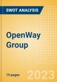 OpenWay Group - Strategic SWOT Analysis Review- Product Image