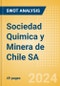 Sociedad Quimica y Minera de Chile SA (SQM-B) - Financial and Strategic SWOT Analysis Review - Product Thumbnail Image