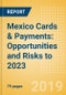 Mexico Cards & Payments: Opportunities and Risks to 2023 - Product Thumbnail Image