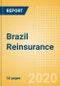 Brazil Reinsurance - Key trends and Opportunities to 2024 - Product Thumbnail Image
