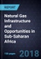 Natural Gas Infrastructure and Opportunities in Sub-Saharan Africa, 2018 - Product Thumbnail Image