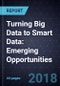 Turning Big Data to Smart Data: Emerging Opportunities - Product Thumbnail Image
