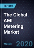 The Global AMI Metering Market- Product Image