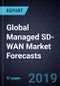 2019 Global Managed SD-WAN Market Forecasts - Product Thumbnail Image