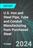 U.S. Iron and Steel Pipe, Tube and Conduit Manufacturing from Purchased Steel: Analytics, Extensive Financial Benchmarks, Metrics and Revenue Forecasts to 2030- Product Image