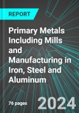 Primary Metals Including Mills and Manufacturing in Iron, Steel and Aluminum (U.S.): Analytics, Extensive Financial Benchmarks, Metrics and Revenue Forecasts to 2030, NAIC 331000- Product Image