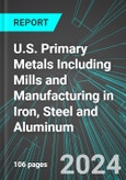 U.S. Primary Metals Including Mills and Manufacturing in Iron, Steel and Aluminum: Analytics, Extensive Financial Benchmarks, Metrics and Revenue Forecasts to 2030- Product Image