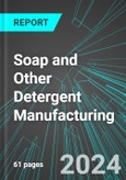 Soap and Other Detergent Manufacturing (U.S.): Analytics, Extensive Financial Benchmarks, Metrics and Revenue Forecasts to 2030, NAIC 325611- Product Image