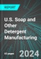 U.S. Soap and Other Detergent Manufacturing: Analytics, Extensive Financial Benchmarks, Metrics and Revenue Forecasts to 2030 - Product Thumbnail Image