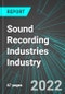 Sound Recording Industries Industry (U.S.): Analytics and Revenue Forecasts to 2028 - Product Thumbnail Image