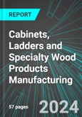 Cabinets, Ladders and Specialty Wood Products Manufacturing (U.S.): Analytics, Extensive Financial Benchmarks, Metrics and Revenue Forecasts to 2030, NAIC 321990- Product Image