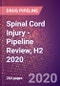 Spinal Cord Injury - Pipeline Review, H2 2020 - Product Thumbnail Image