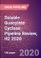 Soluble Guanylate Cyclase - Pipeline Review, H2 2020 - Product Thumbnail Image