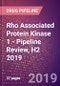 Rho Associated Protein Kinase 1 - Pipeline Review, H2 2019 - Product Thumbnail Image