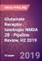 Glutamate Receptor Ionotropic NMDA 2B - Pipeline Review, H2 2019 - Product Thumbnail Image