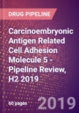 Carcinoembryonic Antigen Related Cell Adhesion Molecule 5 - Pipeline Review, H2 2019- Product Image