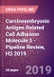 Carcinoembryonic Antigen Related Cell Adhesion Molecule 5 - Pipeline Review, H2 2019 - Product Thumbnail Image