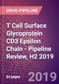 T Cell Surface Glycoprotein CD3 Epsilon Chain - Pipeline Review, H2 2019- Product Image
