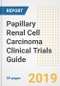2019 Papillary Renal Cell Carcinoma Clinical Trials Guide- Companies, Drugs, Phases, Subjects, Current Status and Outlook to 2025 - Product Thumbnail Image