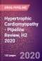 Hypertrophic Cardiomyopathy - Pipeline Review, H2 2020 - Product Thumbnail Image