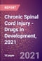 Chronic Spinal Cord Injury (Central Nervous System) - Drugs in Development, 2021 - Product Thumbnail Image