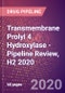 Transmembrane Prolyl 4 Hydroxylase - Pipeline Review, H2 2020 - Product Thumbnail Image