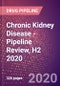 Chronic Kidney Disease (Chronic Renal Failure) - Pipeline Review, H2 2020 - Product Thumbnail Image