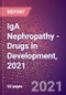 IgA Nephropathy (Berger's Disease) (Genito Urinary System And Sex Hormones) - Drugs in Development, 2021 - Product Image
