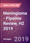 Meningioma - Pipeline Review, H2 2019 - Product Thumbnail Image