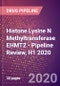 Histone Lysine N Methyltransferase EHMT2 - Pipeline Review, H1 2020 - Product Thumbnail Image