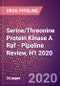 Serine/Threonine Protein Kinase A Raf - Pipeline Review, H1 2020 - Product Thumbnail Image