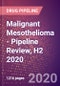 Malignant Mesothelioma - Pipeline Review, H2 2020 - Product Thumbnail Image