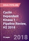 Cyclin Dependent Kinase 1 (p34 Protein Kinase or Cell Division Protein Kinase 1 or Cell Division Control Protein 2 Homolog or CDK1 or EC 2.7.11.22 or EC 2.7.11.23) - Pipeline Review, H2 2018 - Product Thumbnail Image