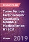 Tumor Necrosis Factor Receptor Superfamily Member 4 (ACT35 Antigen or TAX Transcriptionally Activated Glycoprotein 1 Receptor or OX40L Receptor or CD134 or TNFRSF4) - Pipeline Review, H1 2019 - Product Thumbnail Image