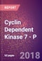 Cyclin Dependent Kinase 7 (39 kDa Protein Kinase or CDK Activating Kinase 1 or Cell Division Protein Kinase 7 or TFIIH Basal Transcription Factor Complex Kinase Subunit or Serine/Threonine Protein Kinase 1 or CDK7 or EC 2.7.11.22 or EC 2.7.11.23) - P - Product Thumbnail Image