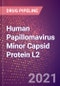 Human Papillomavirus Minor Capsid Protein L2 (L2) - Drugs in Development, 2021 - Product Thumbnail Image