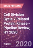 Cell Division Cycle 7 Related Protein Kinase - Pipeline Review, H1 2020- Product Image