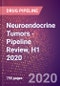 Neuroendocrine Tumors - Pipeline Review, H1 2020 - Product Thumbnail Image